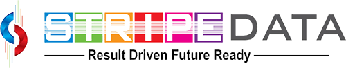 StripeData Logo
